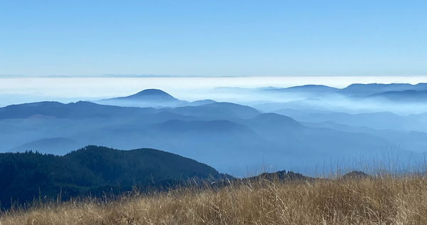 Marys Peak -  Sid H